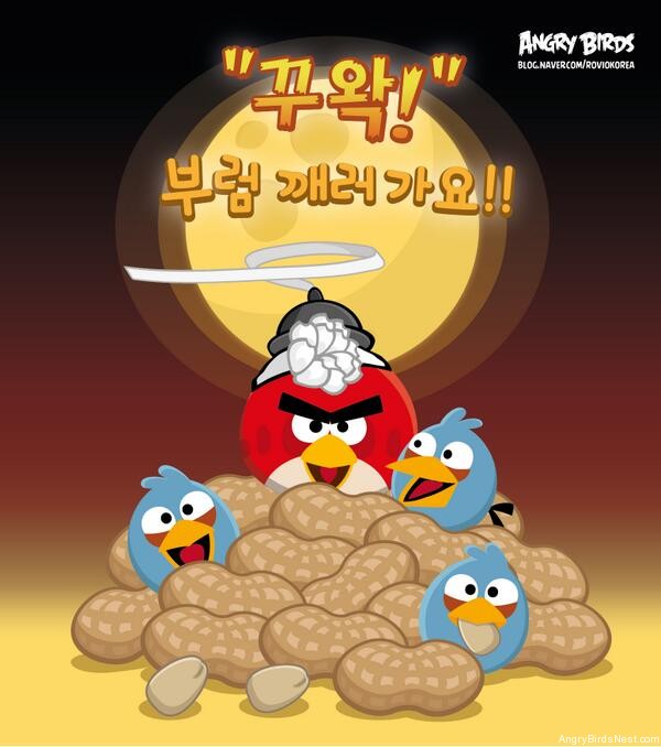 Angry Birds Jeongwol Daeboreum Teaser