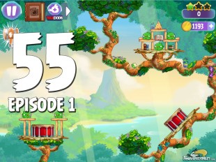 Angry Birds Stella Level 55 Episode 1 Walkthrough