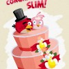 Angry Birds Congratulations on the Engagement Slim from Rovio