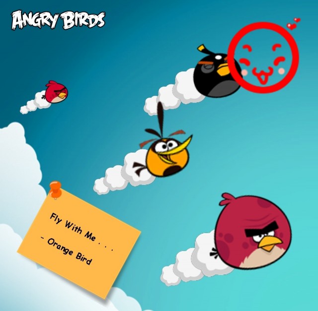 angry birds orange bird