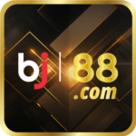 Profile picture of Bj88