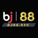 Profile picture of BJ88 NYC