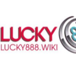 Profile picture of lucky888wiki