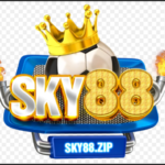 Profile picture of sky88zip