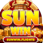 Profile picture of sunwinflights01