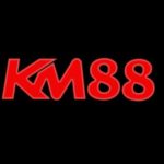 Profile picture of km88work