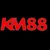 Profile picture of km88work