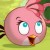 Profile picture of Angry Pink Bird