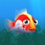 Profile picture of Red Hawkfish's Number One Fan!