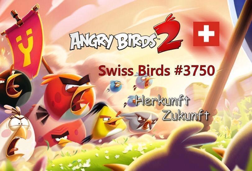 Swiss Birds banner